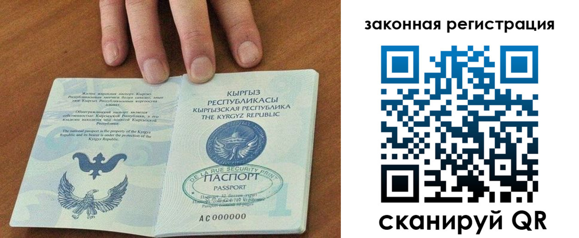 прописка гарантия в Волгоградской области
